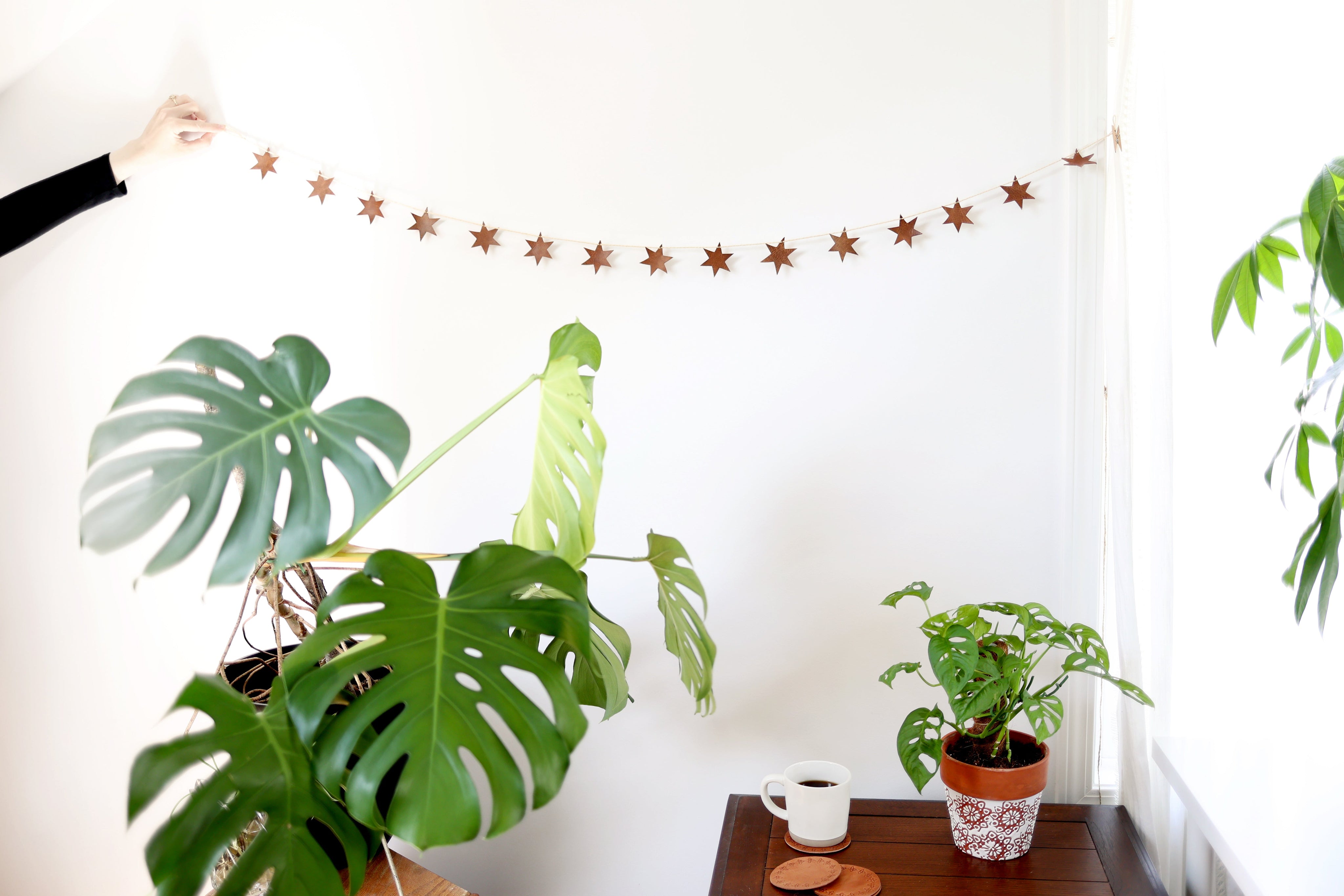 Starlight Garland