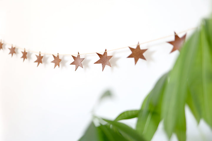 Starlight Garland