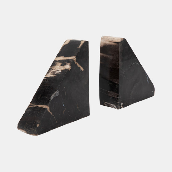 Petrified Wood Bookends