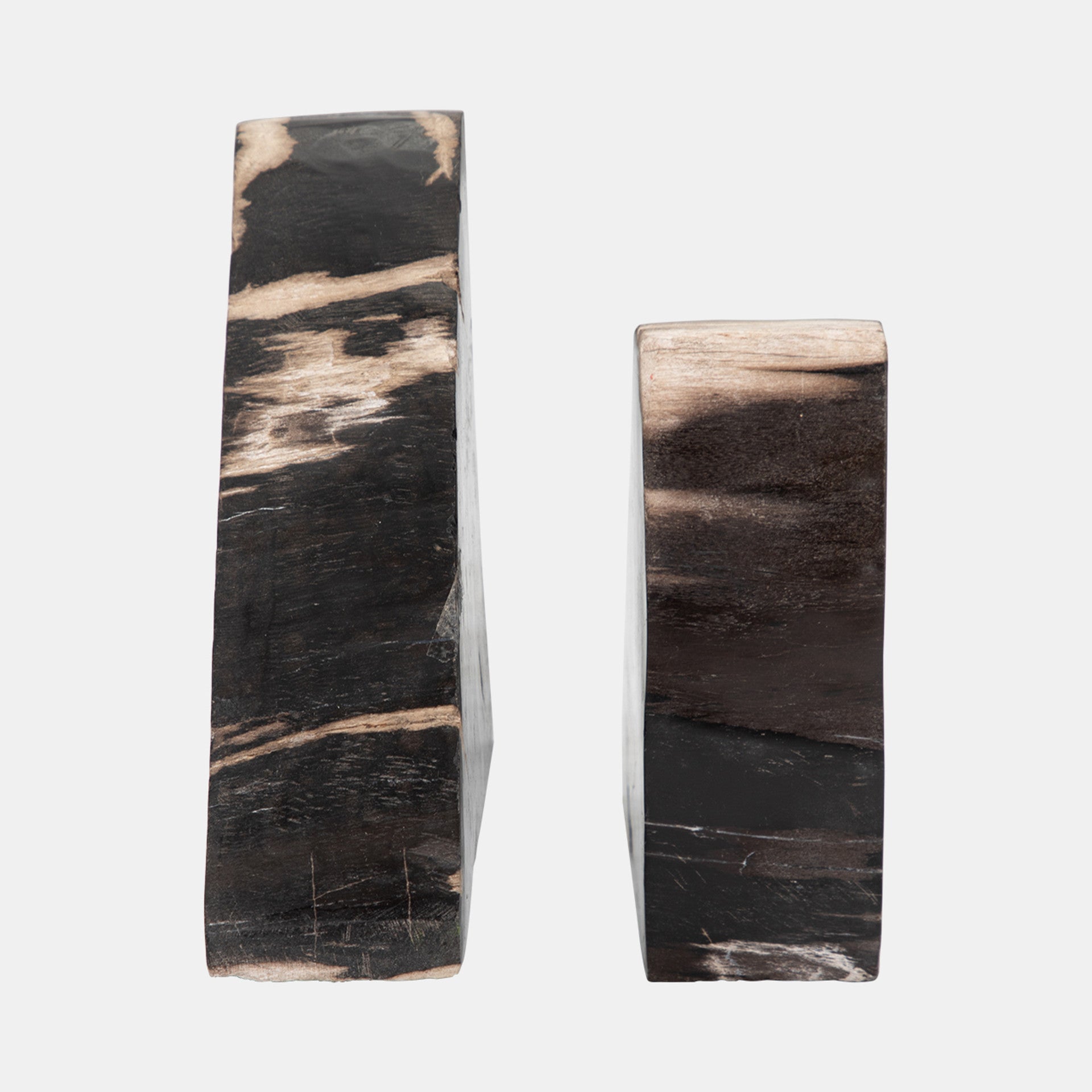 Petrified Wood Bookends