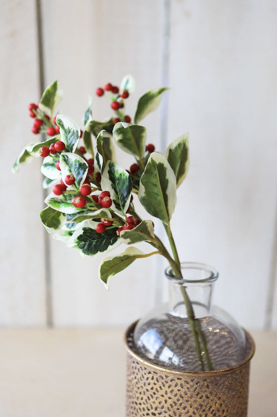 Variegated Holly Stem, 18"