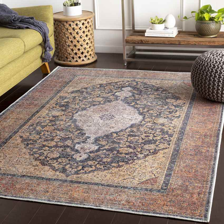 Olterterp Traditional Washable Rug, Clay