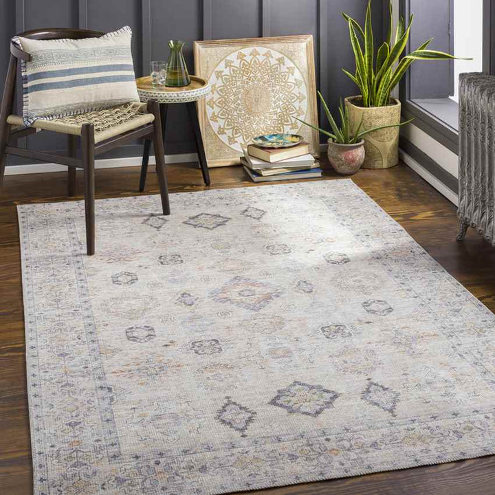 North Utica Traditional Washable Rug, Beige