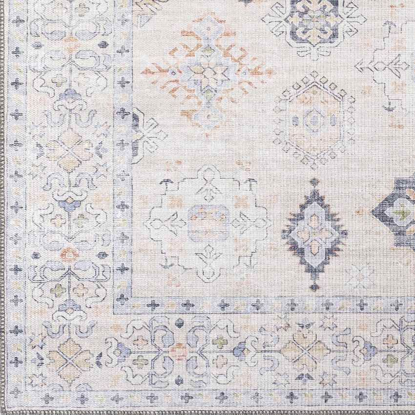 North Utica Traditional Washable Rug, Beige