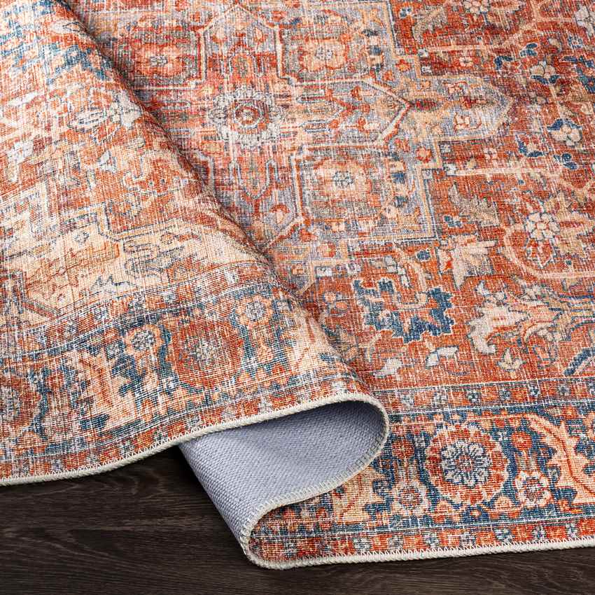 Vernon Hills Traditional Washable Rug, Burnt Orange