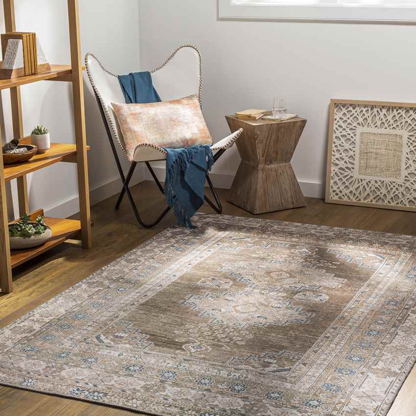 McCordsville Traditional Washable Rug, Brown