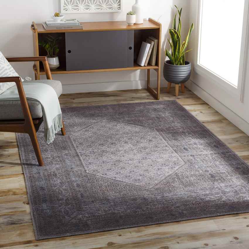 Hayri Traditional Washable Rug, Medium Gray