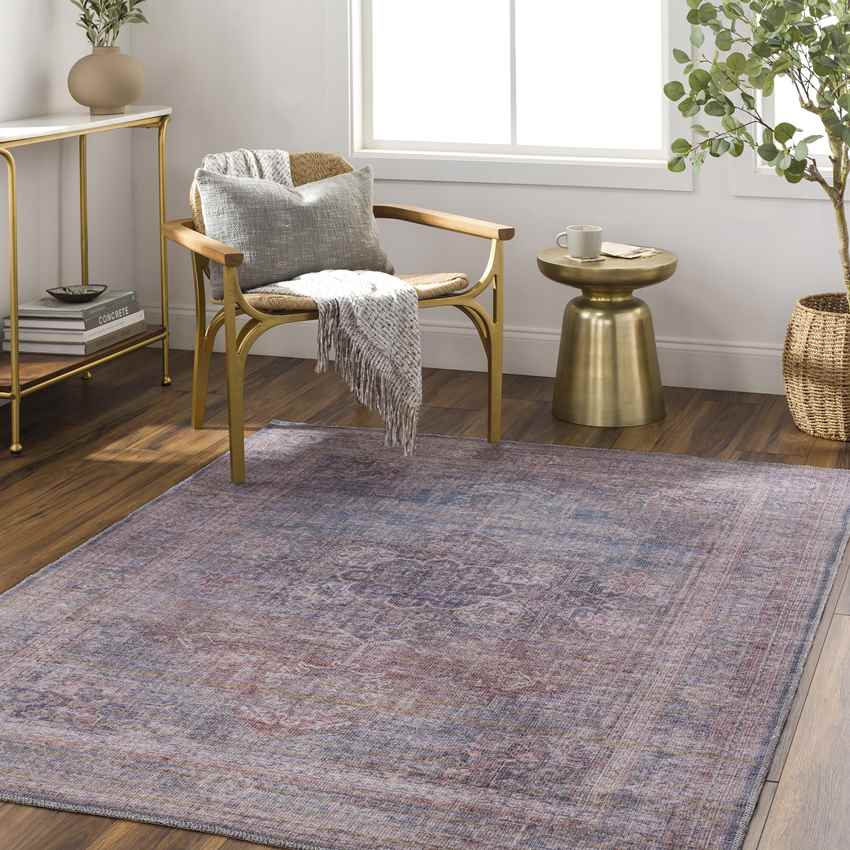 Russiaville Traditional Washable Rug, Brown