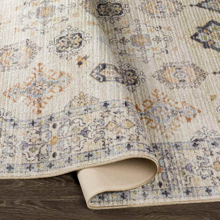 Park Forest Traditional Washable Rug, Beige