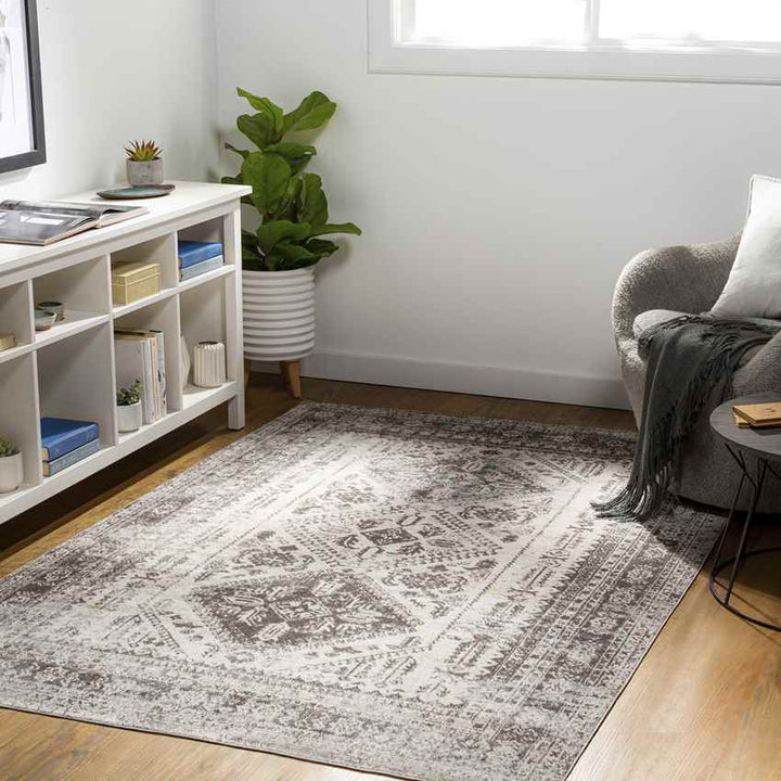 Salamonia Traditional Washable Rug, Medium Gray