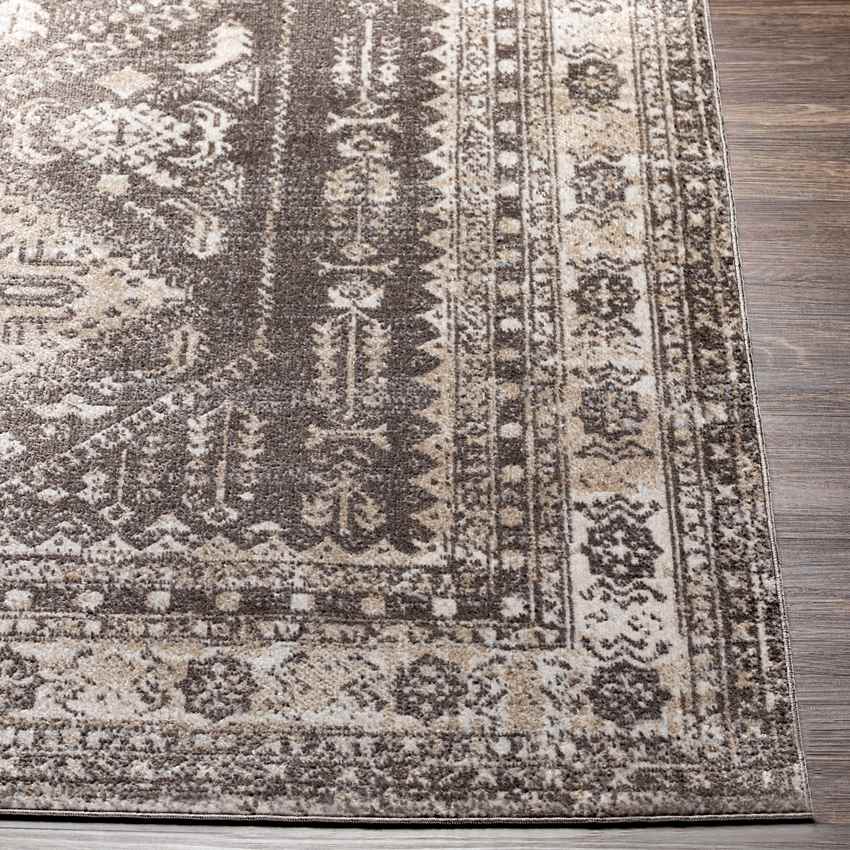 Salamonia Traditional Washable Rug, Dark Brown