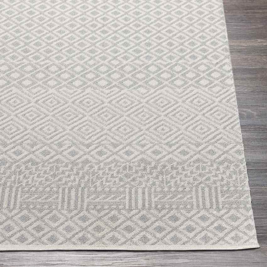 Waynetown Global Washable Rug, Gray