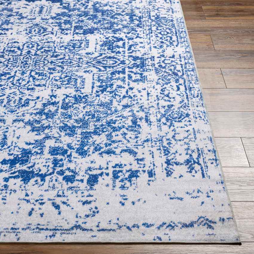 Straughn Traditional Washable Rug, Blue