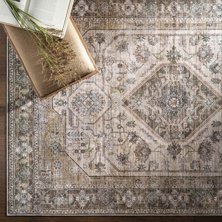 Washta Traditional Washable Rug, Taupe