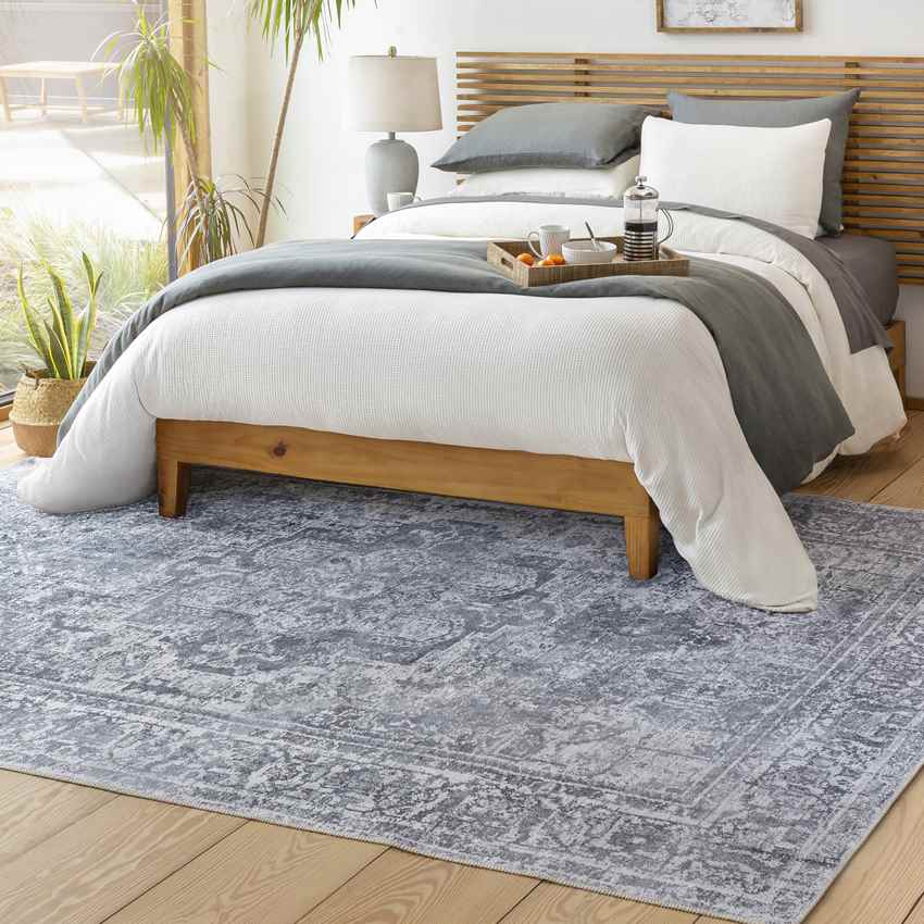 Whitten Traditional Washable Rug, Light Gray