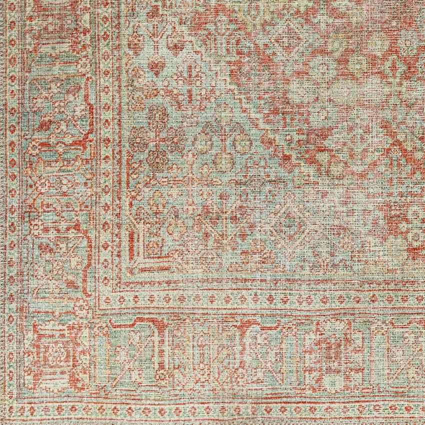 Mylikouri Traditional Washable Rug, Rust