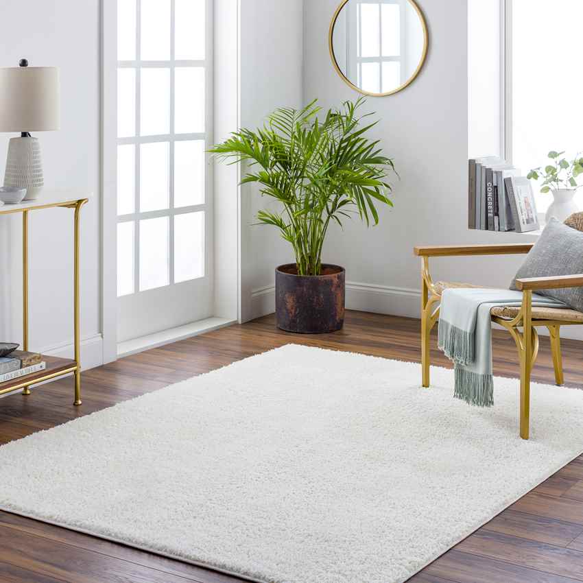 Richlawn Modern Washable Rug, Light Beige