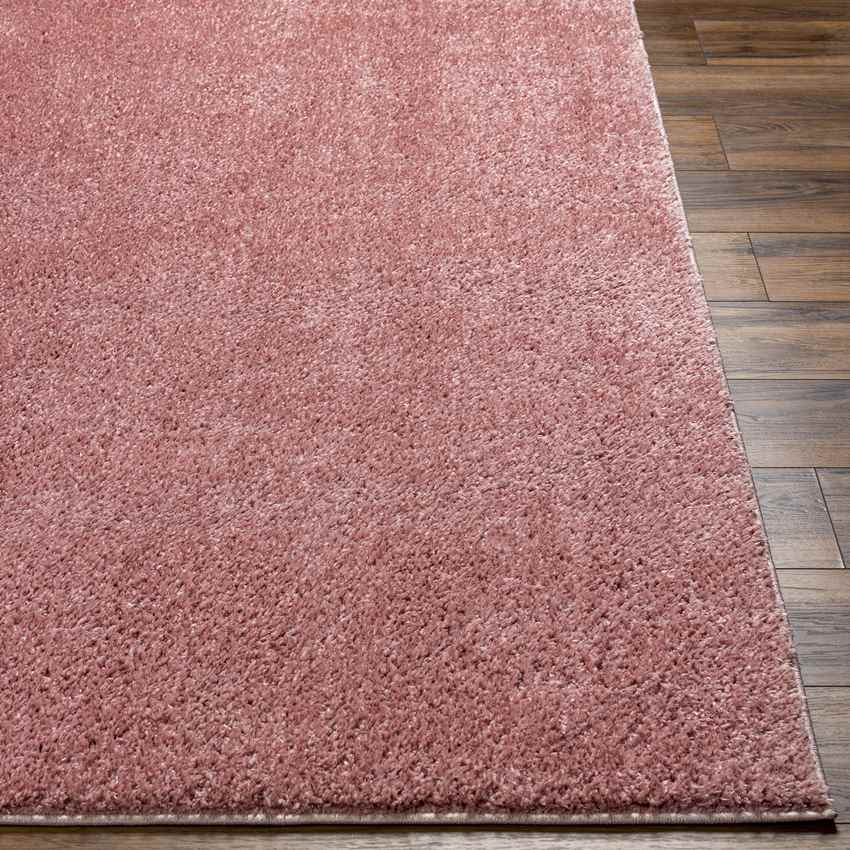 Richlawn Modern Washable Rug, Coral Pink