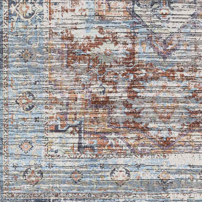 Varina Traditional Washable Rug, Teal