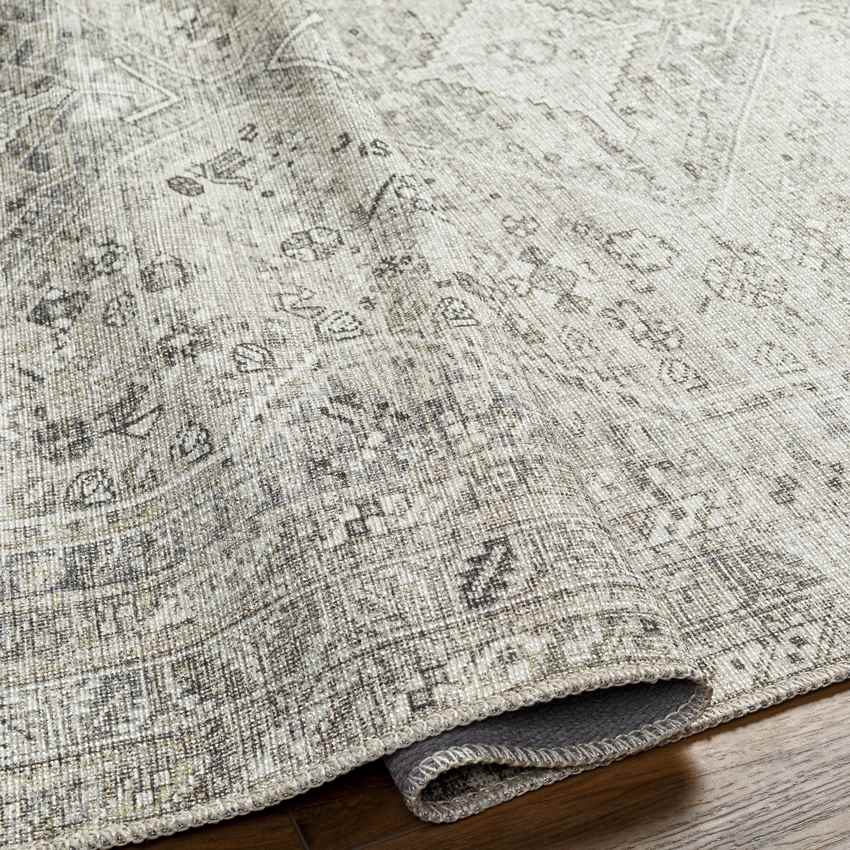 Tonganoxie Traditional Washable Rug, Cream