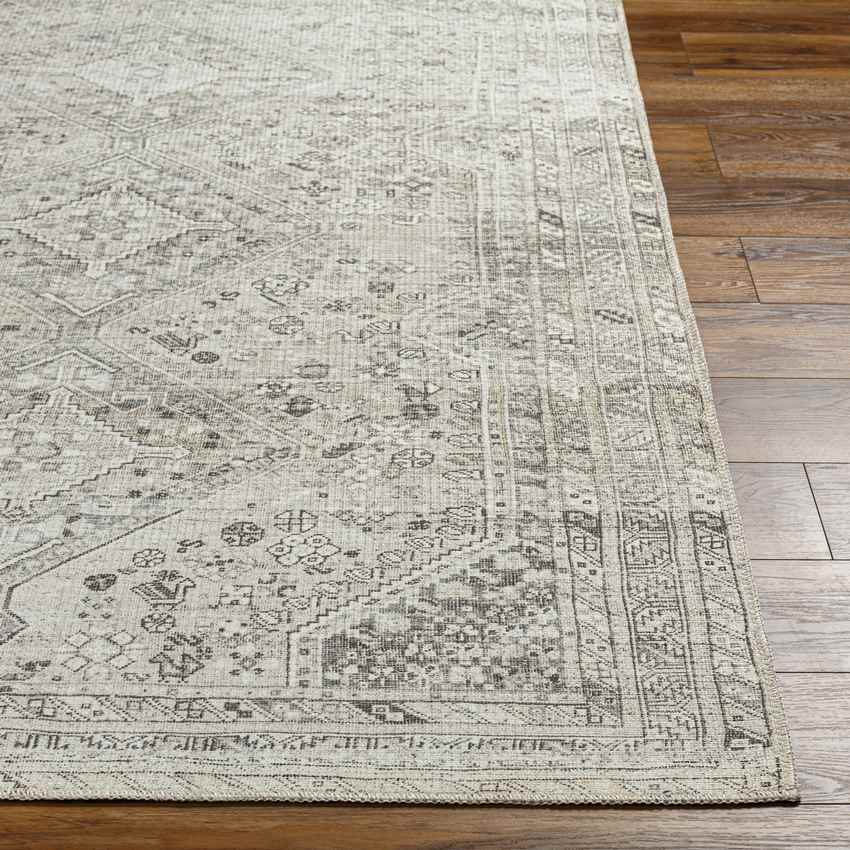 Tonganoxie Traditional Washable Rug, Cream