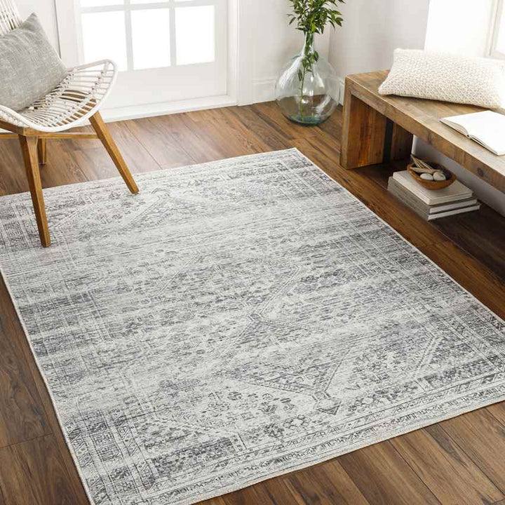 Tonganoxie Traditional Washable Rug, Light Gray