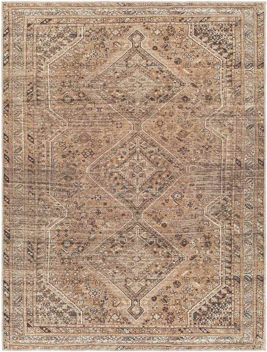 Tonganoxie Traditional Washable Rug, Cider