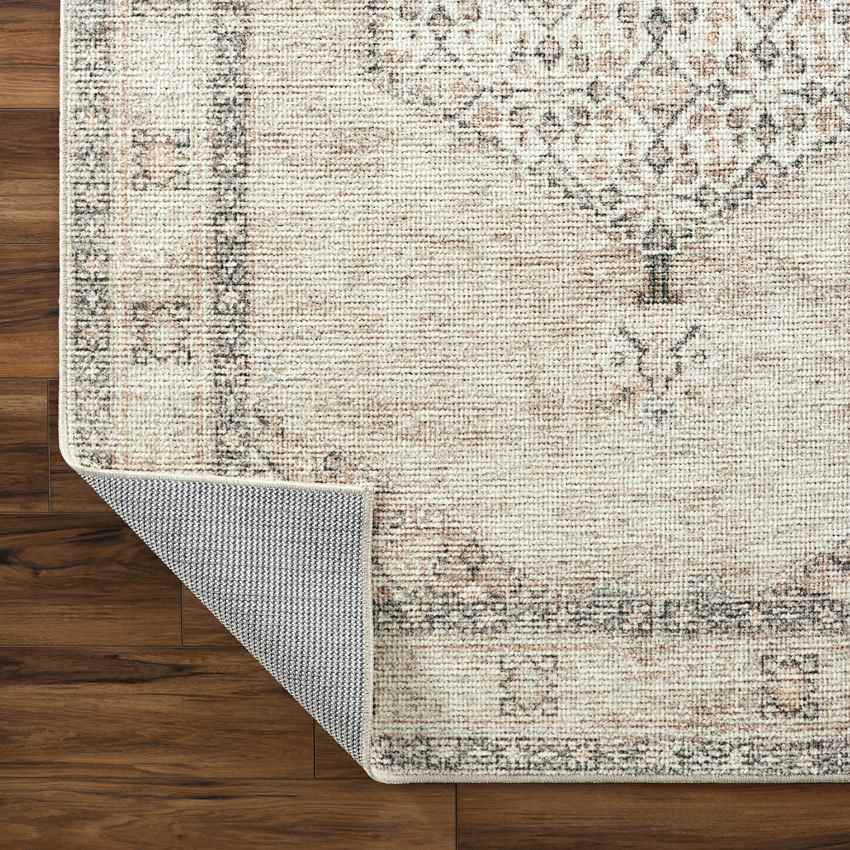 Jamesa Traditional Rug, Blush/Beige