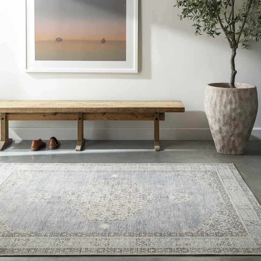 Jamesa Traditional Rug, Denim/Ivory