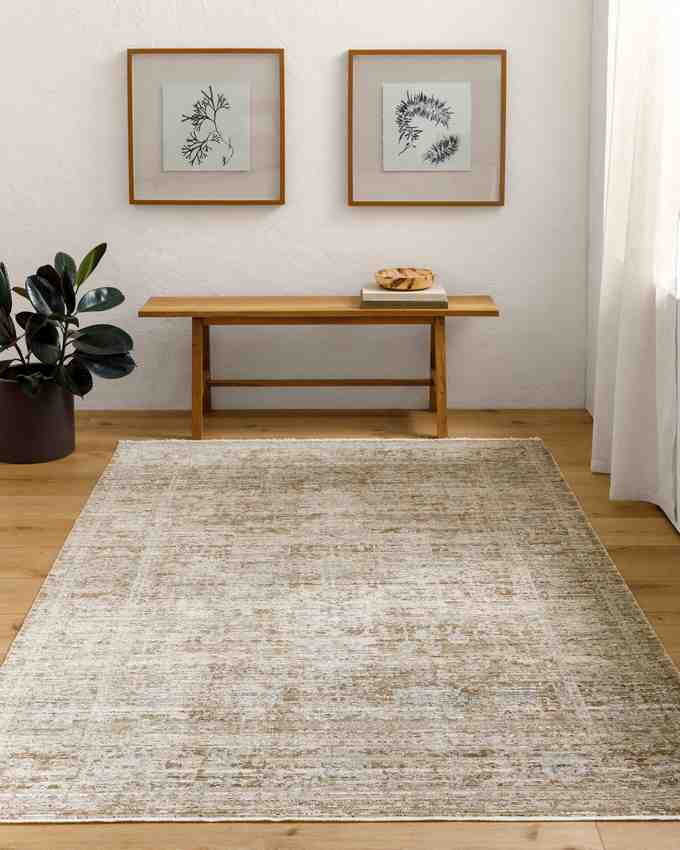 Robynn Traditional Washable Rug, Dark Brown