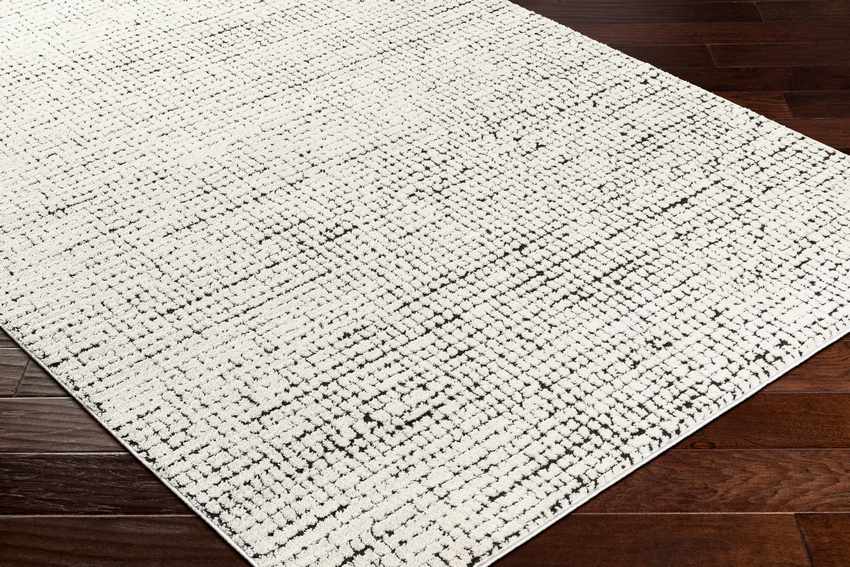 Lajoy Modern Rug, Ivory/Black