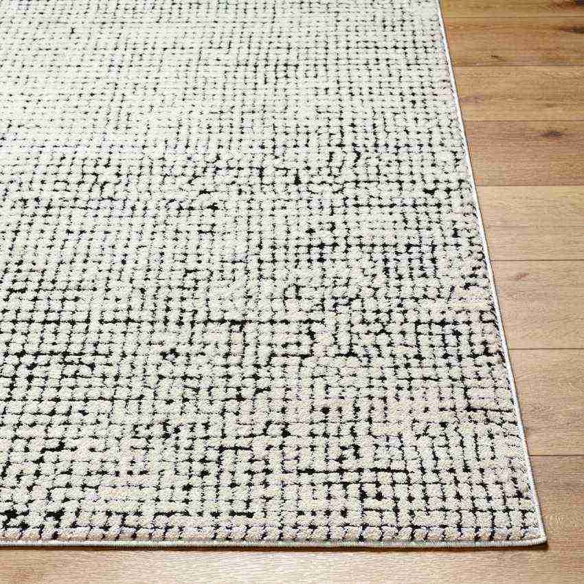 Lajoy Modern Rug, Ivory/Black