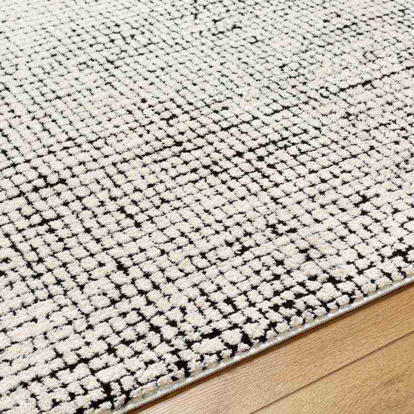 Lajoy Modern Rug, Ivory/Black