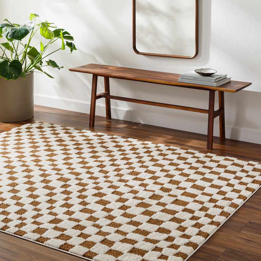 Ilea Modern Rug, Ivory/Brown