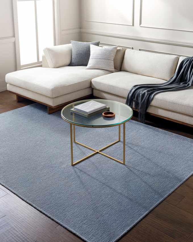 Tobey Solid & Border Washable Rug, Light Gray