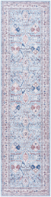 Malek Traditional Washable Rug, Denim