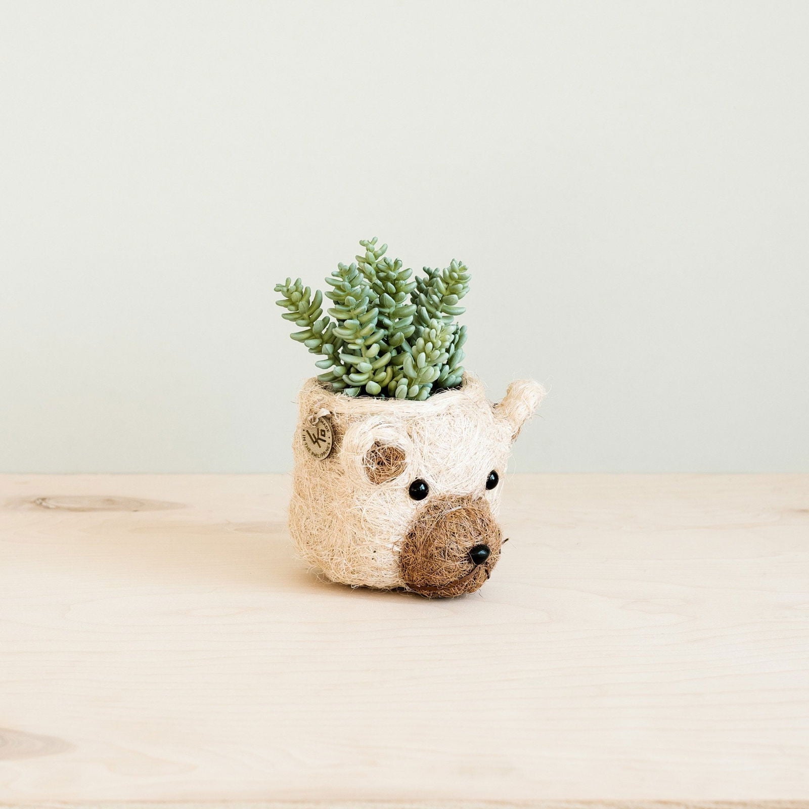 Bear Planter - Mac & Mabel