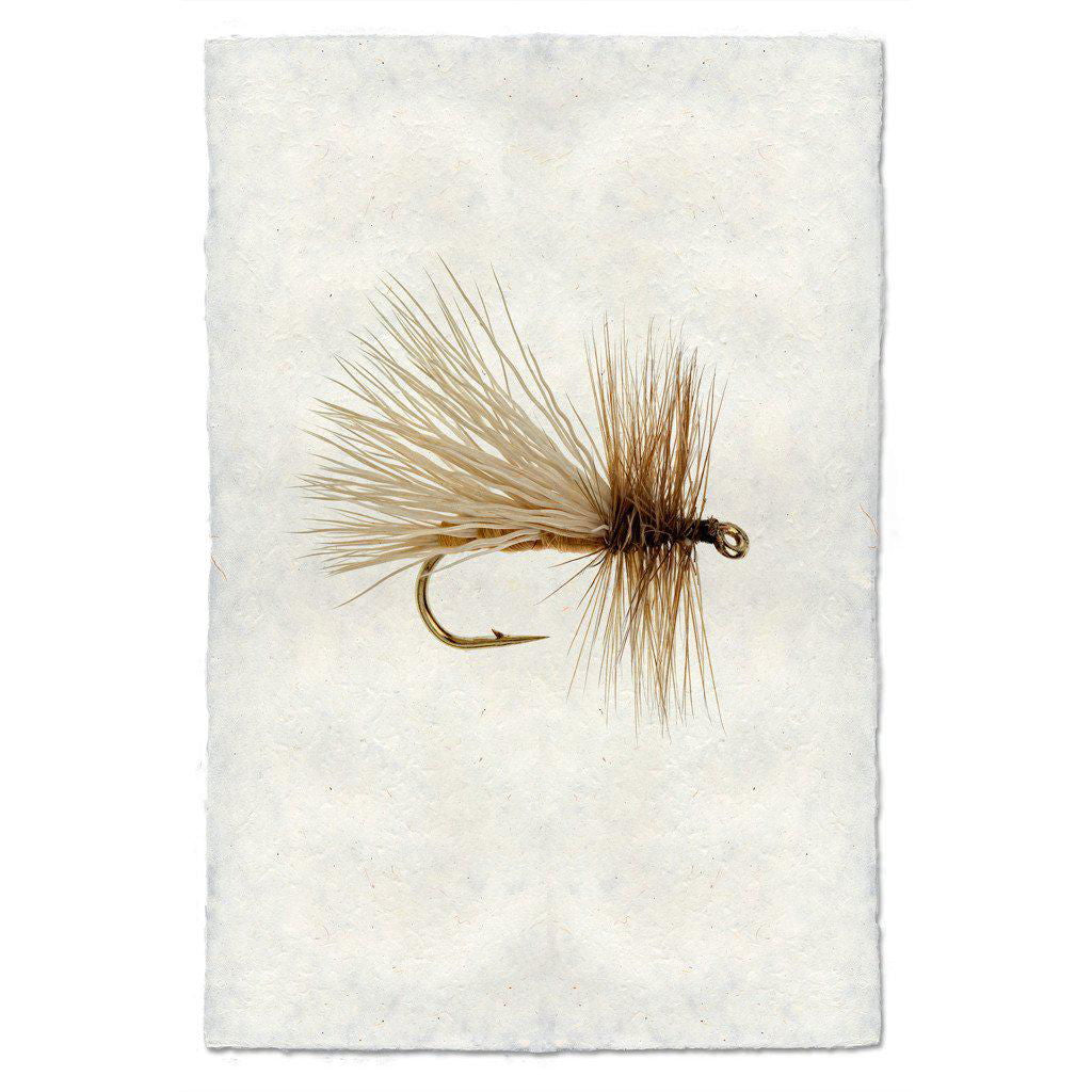 Caddis Variant - Mac & Mabel