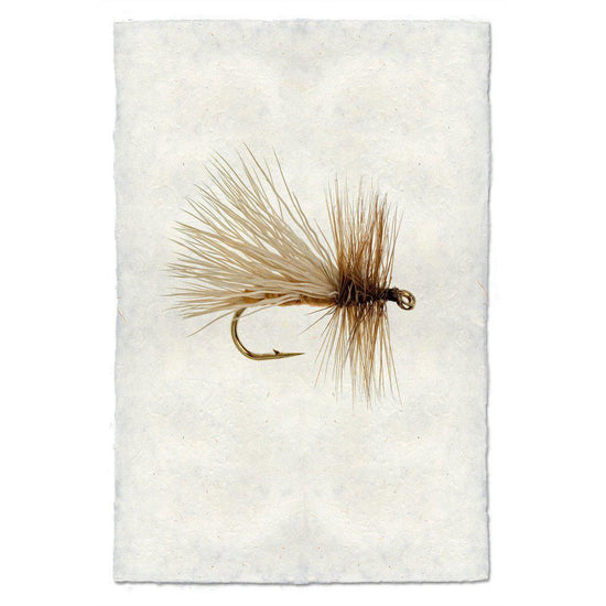 Caddis Variant - Mac & Mabel