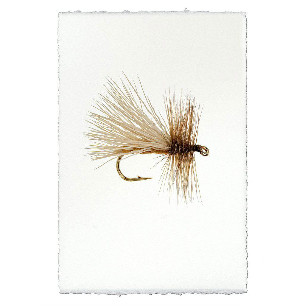 Caddis Variant - Mac & Mabel