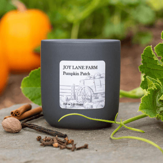 Pumpkin Patch Ceramic Candle