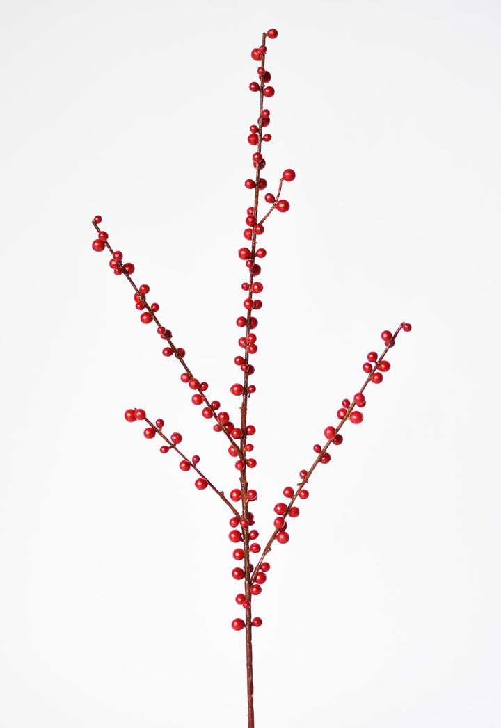 Outdoor Berry Stem, Red