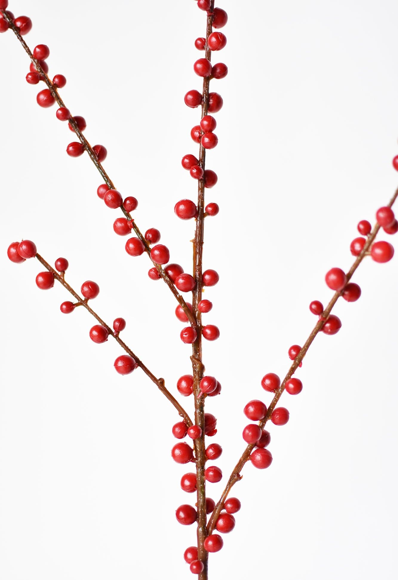 Outdoor Berry Stem, Red