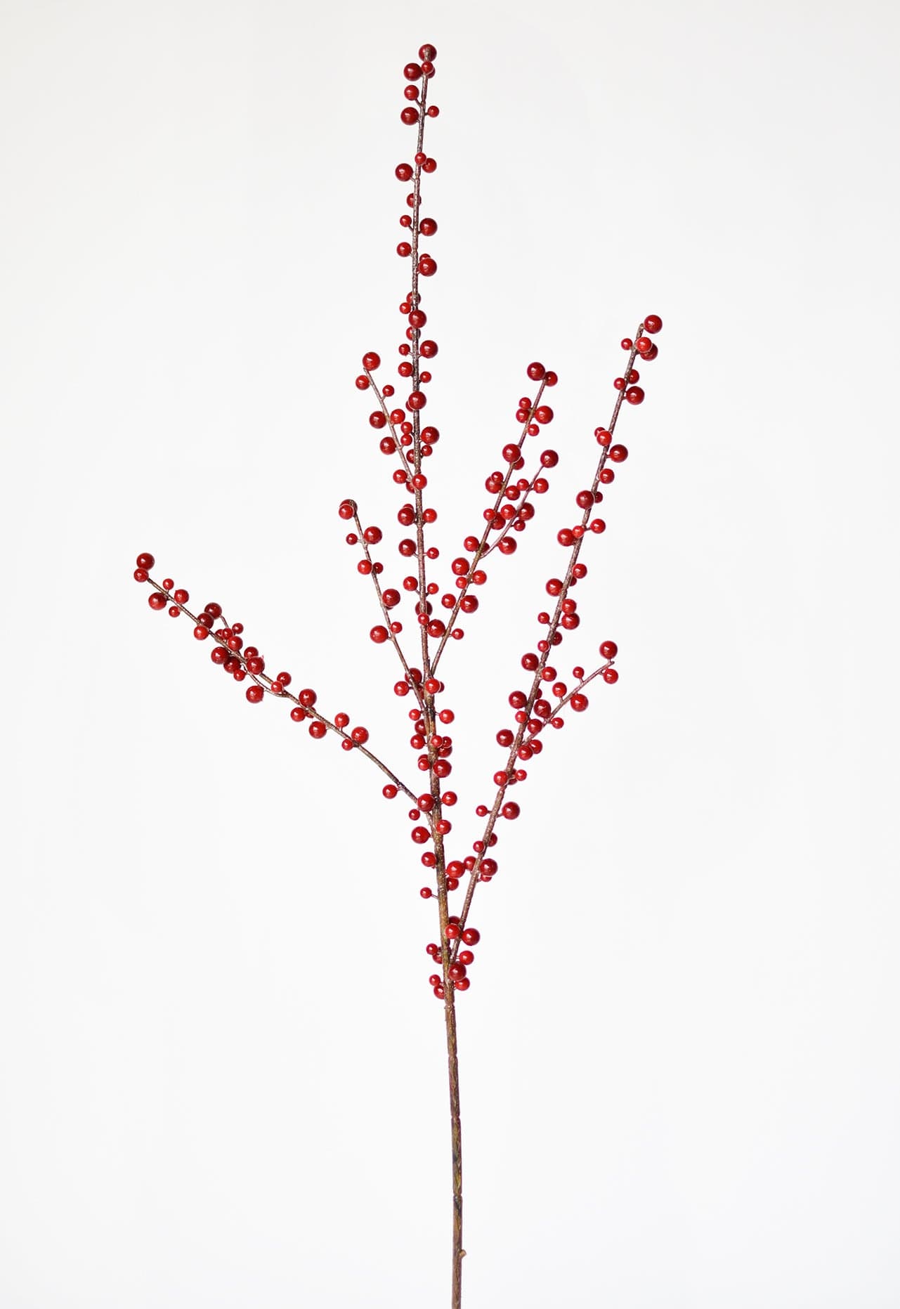 Outdoor Berry Stem, Red