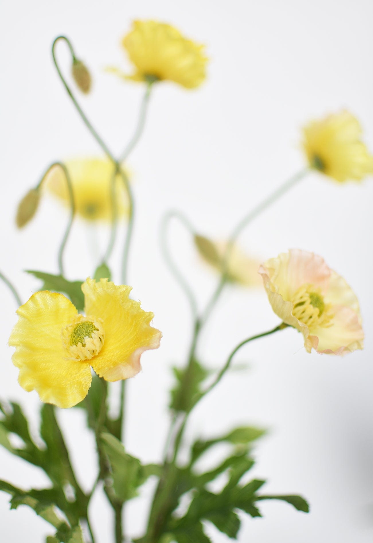 Poppy Bush, 15", Yellow