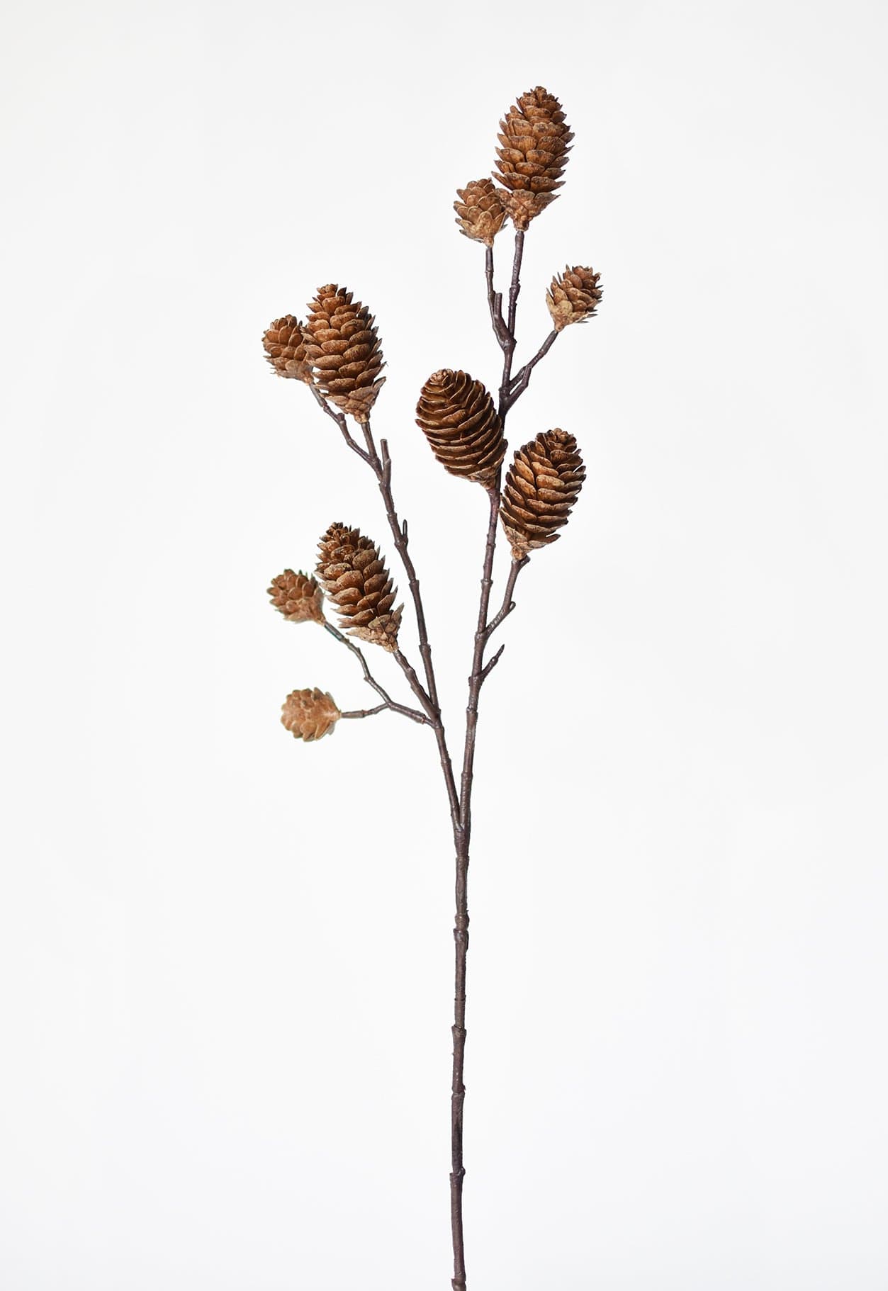 Pinecone Branch, 28"