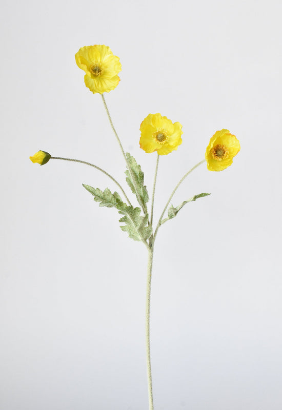 Poppy Stem, 24", Yellow