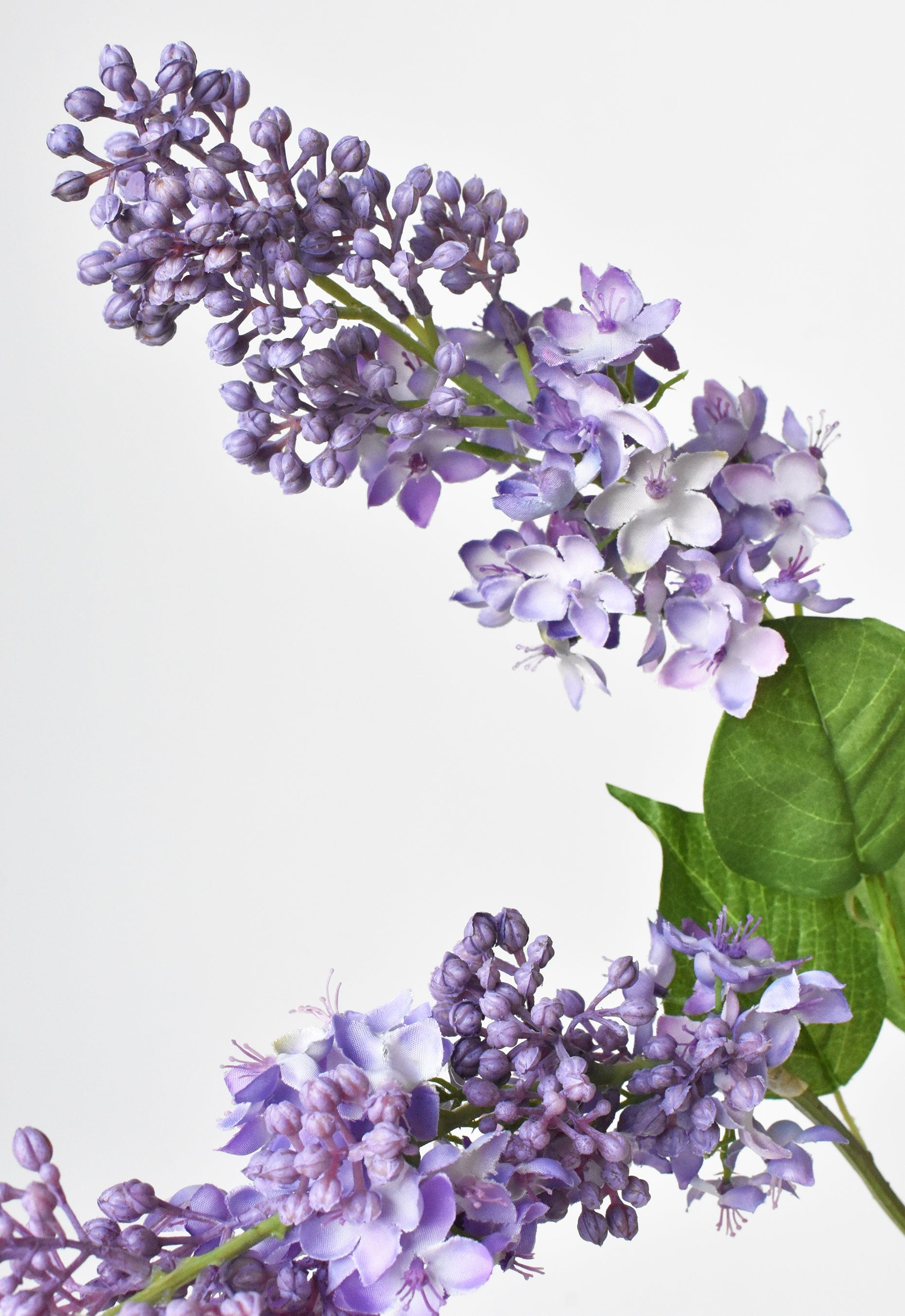 Lilac Stem, 34.5", Purple