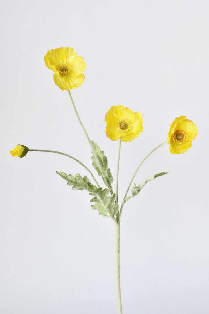 Poppy Stem, 24", Yellow