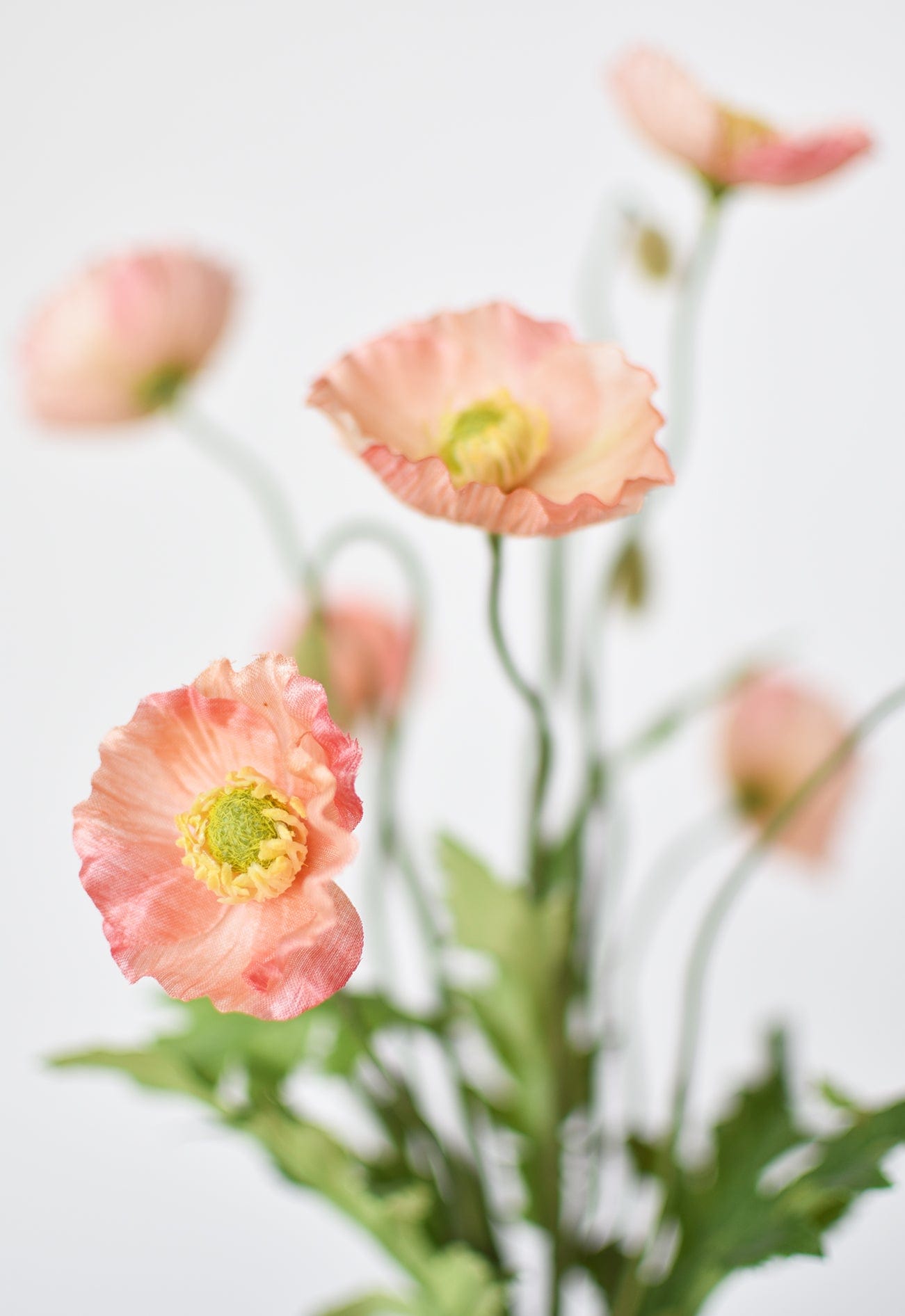 Poppy Bush, 15", Orange & Coral & Salmon